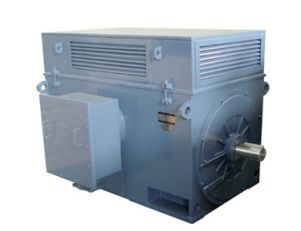 Y、YR系列高壓三相異步電動(dòng)機(jī)
